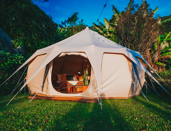 Tent Camping Inside Forest